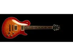 Freedom Custom Guitar Research RR Series Guitar main image