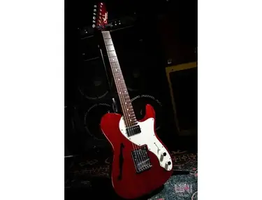 Freedom Custom Guitar Research | Equipboard
