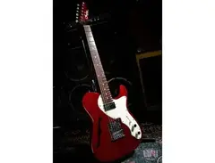 Freedom Custom Guitar Research TE Pepper Hollow I Guitar main image