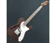 Freedom Custom Guitar Research TE Pepper Hollow II Guitar main image
