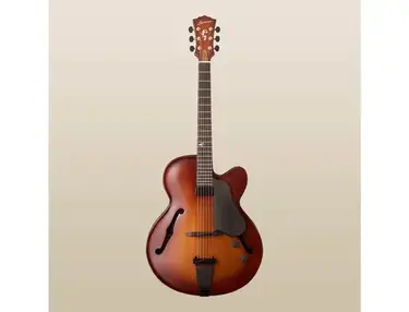 Landscape Guitar AR-101 Hollow Body Guitar