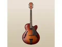 Landscape Guitar AR-101 Hollow Body Guitar main image