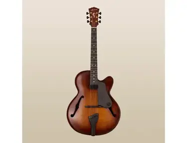 Landscape Guitar AR-101PH Perry Hughes Signature Hollow Body Guitar