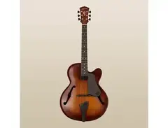 Landscape Guitar AR-101PH Perry Hughes Signature Hollow Body Guitar main image
