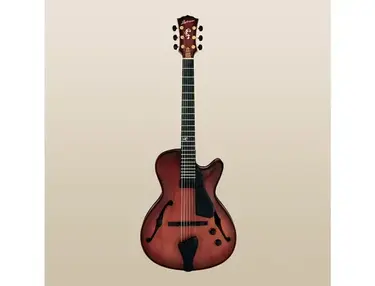 Landscape Guitar AR-201 Hollow Body Guitar