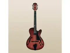 Landscape Guitar AR-201 Hollow Body Guitar main image