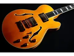 Crews Maniac Sound GBNY-1 Series Guitar main image