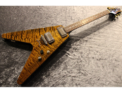Nakagawa Spirit Guitar main image