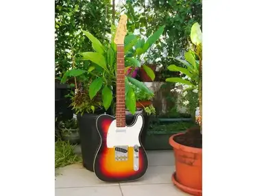 Combat Guitars TL Classic Series
