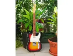 Combat Guitars TL Classic Series main image
