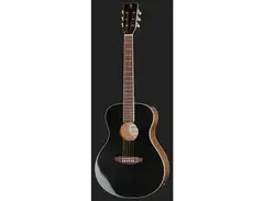 Harley Benton CLF-50E main image