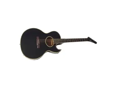 Washburn EA-50 Festival Series