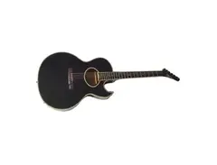 Washburn EA-50 Festival Series main image