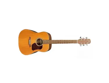 Walden Guitars D560CE Acoustic Guitar