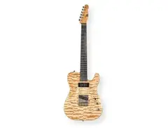 Ron Tracy Custom T92 Telecaster
