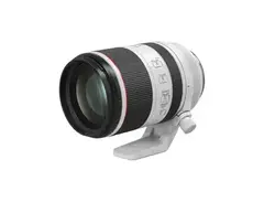 Canon RF 70-200mm f/2.8 L IS USM Lens