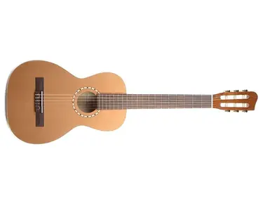 Art & Lutherie Ami Nylon Cedar
