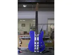 LSL Instruments Big Bone Guitar main image