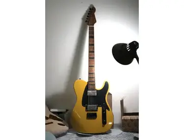 LSL Instruments Baribone Guitar