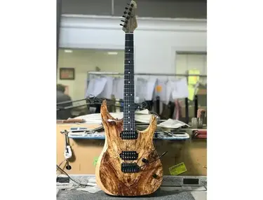 LSL Instruments XT-4 Guitar