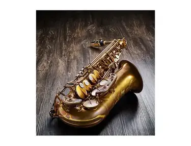 Forestone GX Saxophone