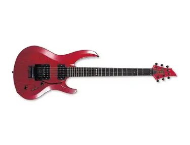 ESP Bottom Line GT