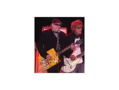 Hamer Rick Nielsen Box Guitar