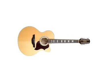Takamine EG523 - 12 strings