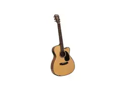 Blueridge BR-43CE main image