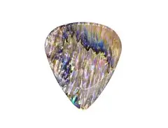 Timber Tones Abalone Tones Paua Abalone main image