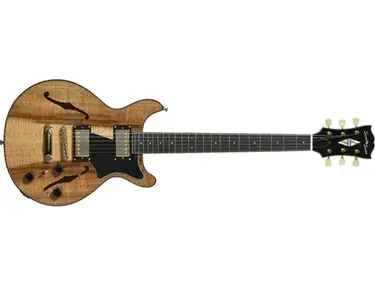 SeventySeven Albatross Jazz Guitar