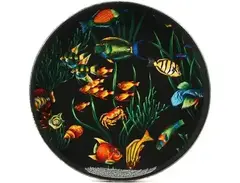 Remo Ocean Drum 16-inch Fish Graphic