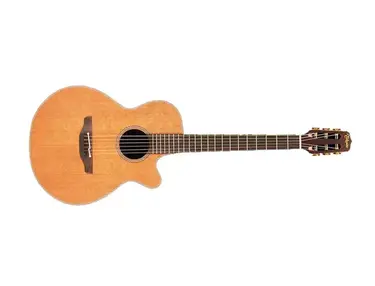 Takamine EAN30C Eectric Acoustic Guitar