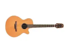 Takamine EAN30C Eectric Acoustic Guitar