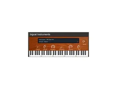 Bigcat Instruments NST Choir