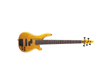 Tune Guitar Technology TWB43-FM Bass - What To Know & Where To Buy