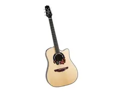 Takamine 2004 Limited Edition LTD2004 Acoustic-Electric Guitar