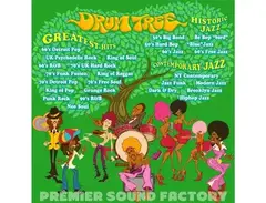 Premier Sound Factory Drum Tree main image