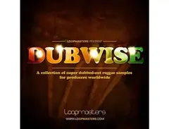 Loopmasters DubWise main image