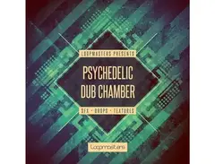 Loopmasters Psychedelic Dub Chamber main image