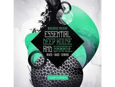 Loopmasters Wideboys Present Deep House & Garage