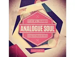 Loopmasters Lack Of Afro Presents Analogue Soul main image