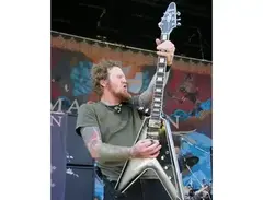 Gibson Custom Flying V main image