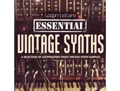 Loopmasters Essentials  37 - Vintage Synths main image