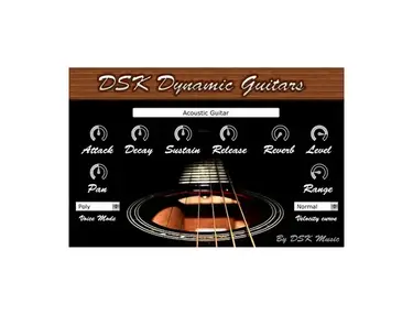 DSK Music DSK Dynamic Guitars