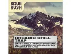 Soul Rush Records Organic Chill Trap main image