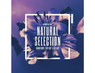 Loopmasters Natural Selection