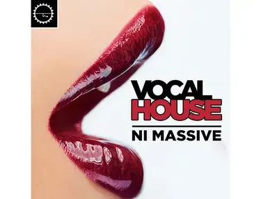 Industrial Strength Vocal House Massive