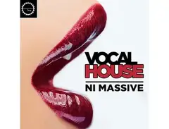 Industrial Strength Vocal House Massive main image