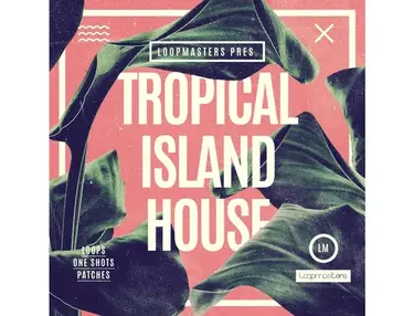 Loopmasters Tropical Island House